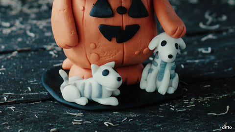 “I had been told that the training procedure with cats is difficult. It’s not. Mine had me trained in two days.”