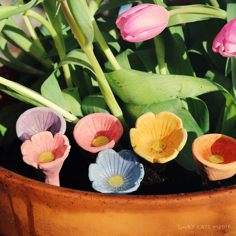 Bee Cups
