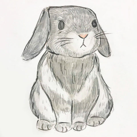 FEBRUARY | Bunny Love 6 Week Kids Session