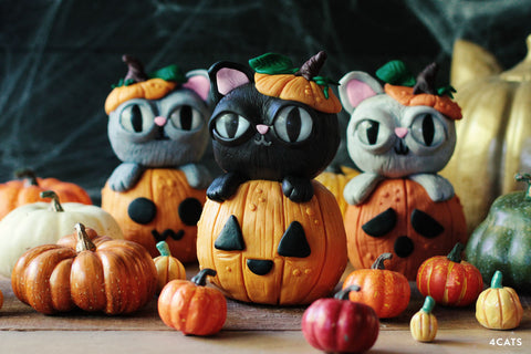 october | halloween mini session | 4 weeks